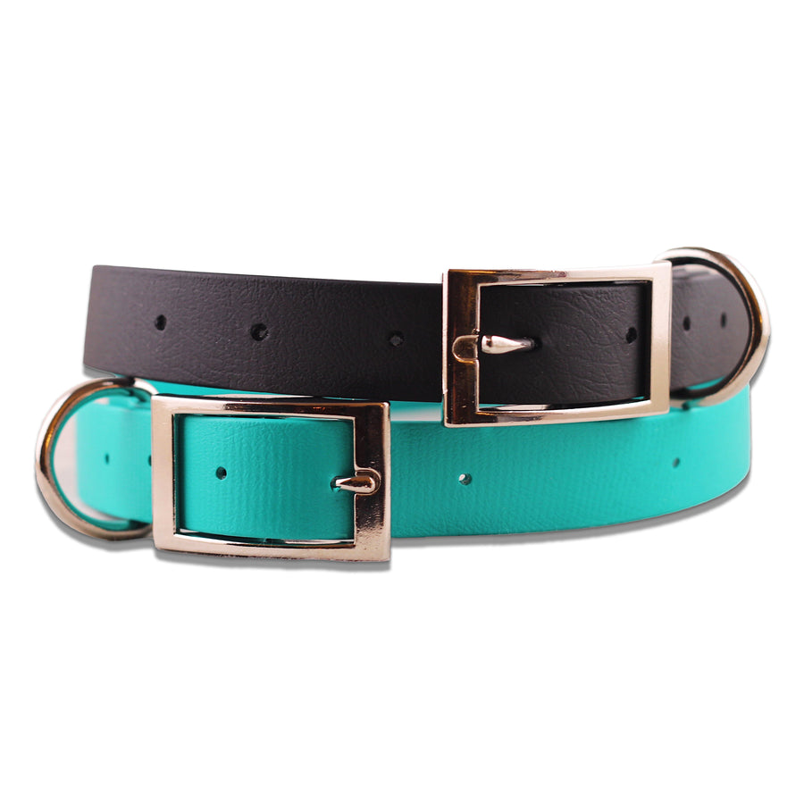 Waterproof Collars & Leashes