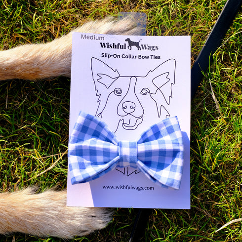 Baby Blue Gingham Bow Tie