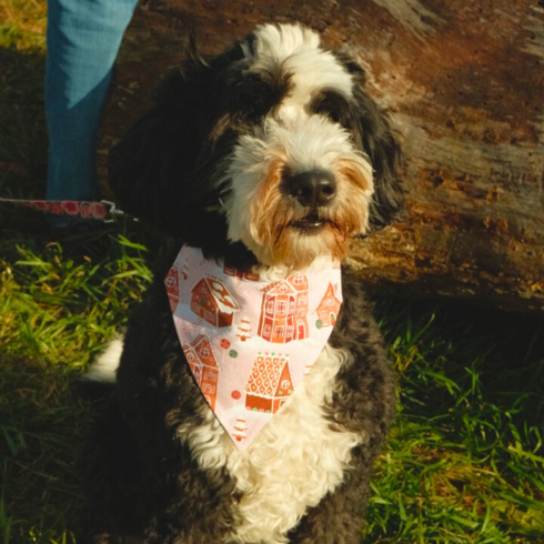 Gingerbread House Slip On Bandana