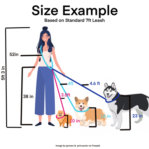 Multi Way, Convertible, Hands Free Biothane Waterproof Leash- 3/4" Inch- Medium to XL Dogs