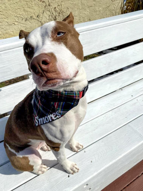 Black & Green Plaid Slip On Bandana
