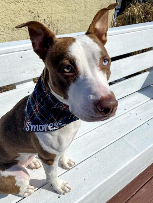Black & Green Plaid Slip On Bandana