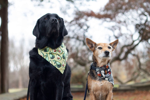 Avocado Slip On Bandana