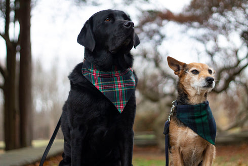 Black Tartan Flannel Plaid Slip On Bandana