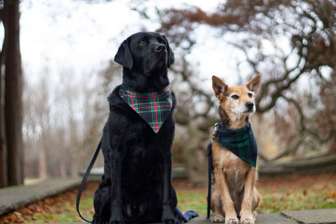 Black Tartan Flannel Plaid Slip On Bandana