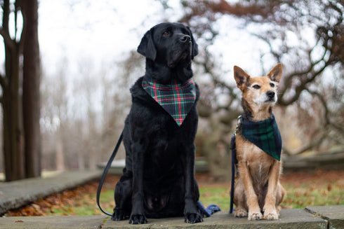 Black Tartan Flannel Plaid Slip On Bandana