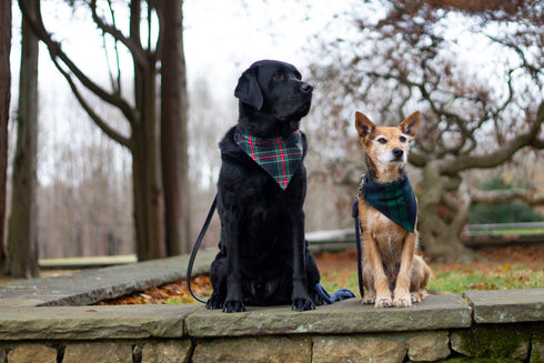 Black Tartan Flannel Plaid Slip On Bandana